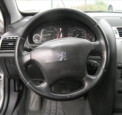 Peugeot 407 10