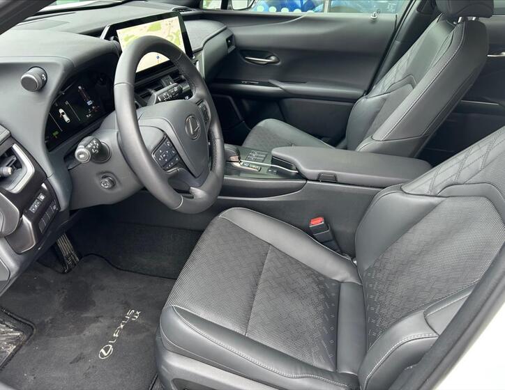 Lexus UX 300h 10