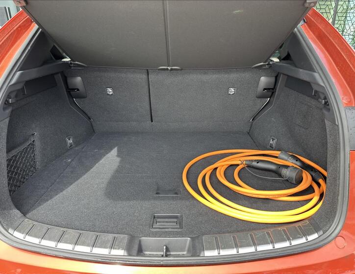 Lexus NX 450h plus 19