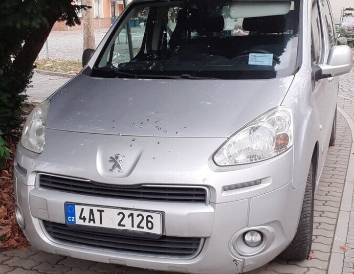 Peugeot Partner Tepee MPV 0,0 0