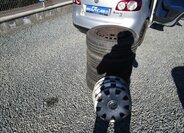 Volkswagen Golf Plus Skříň 1,6 l 75 kw