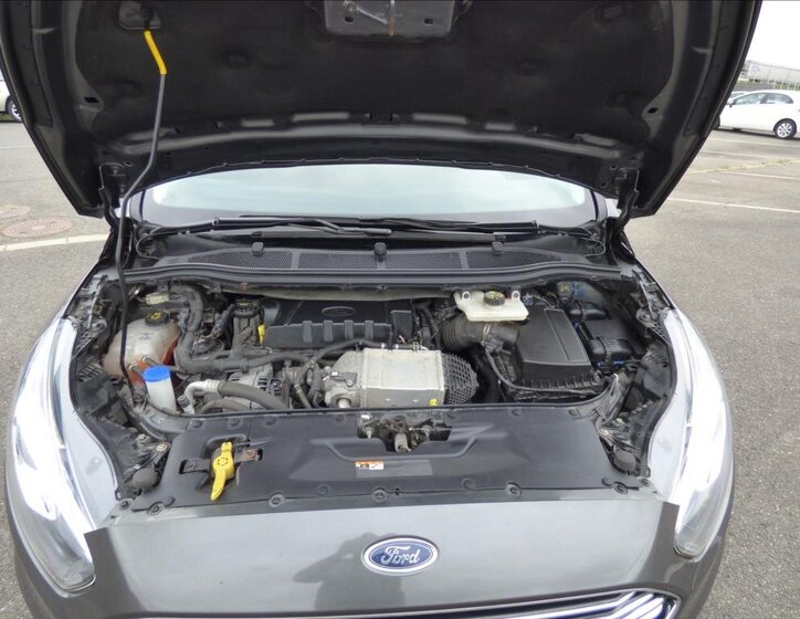 Ford S-MAX MPV 2,0 l 110 kw