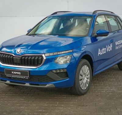 Škoda Kamiq 1