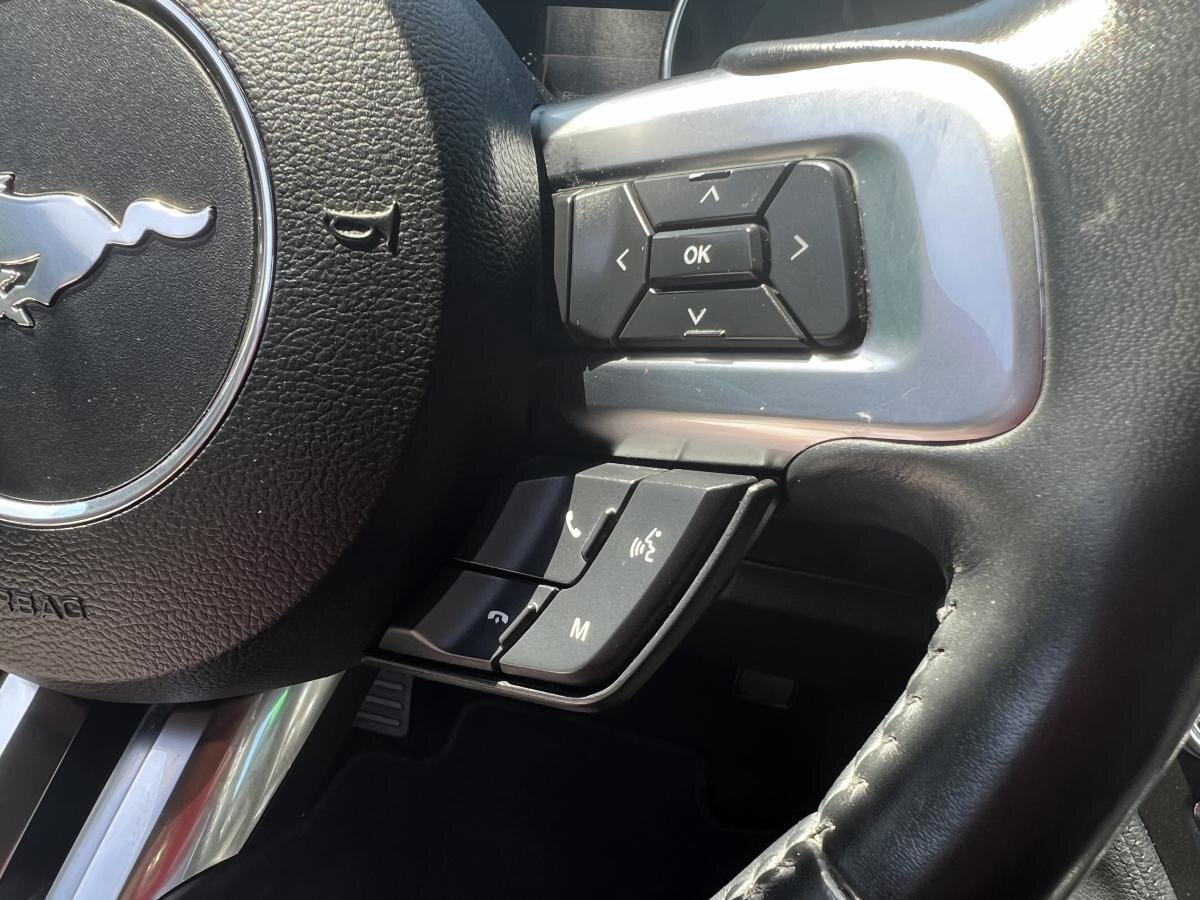 Ford Mustang Ostatní 5,0 l 551 kw