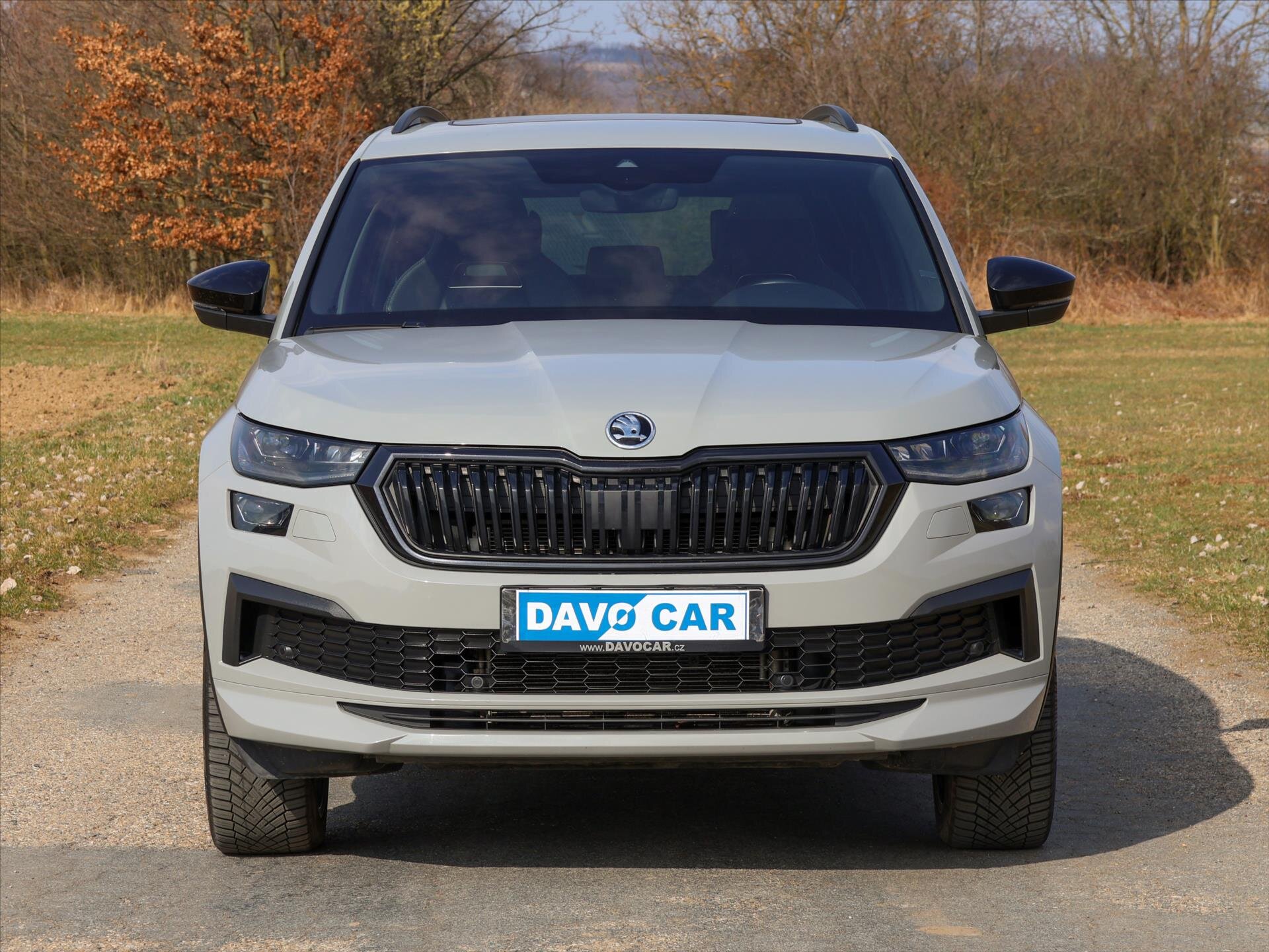 Škoda Kodiaq SUV / Terénní 2,0 l 147 kw