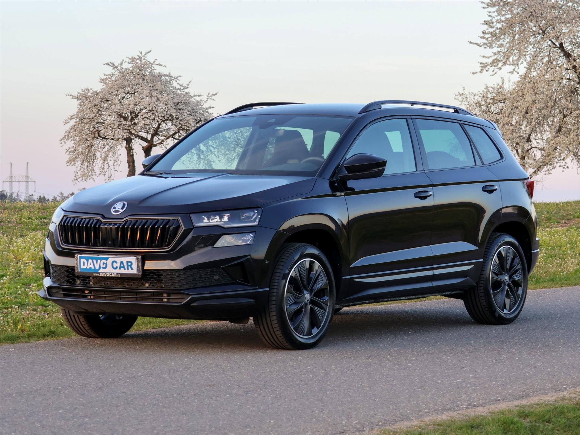 Škoda Karoq SUV / Terénní 2,0 l 110 kw