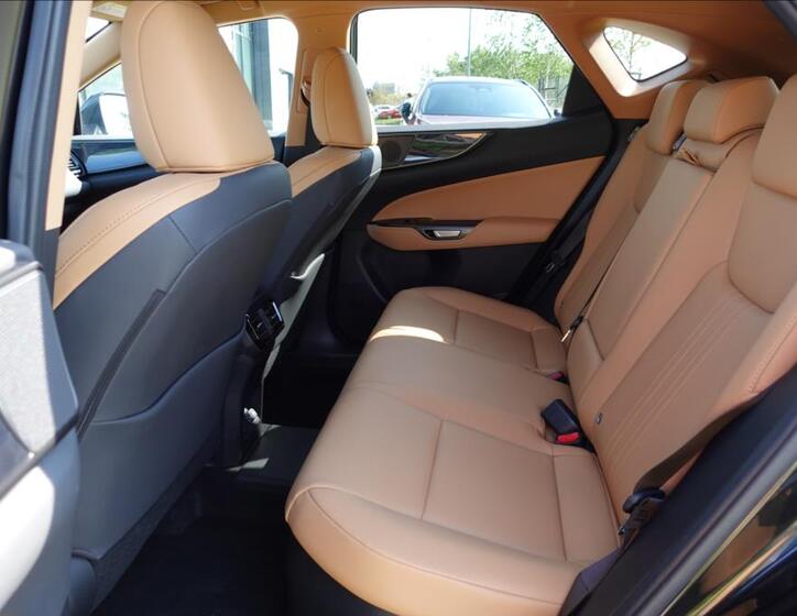 Lexus NX 450h plus 12