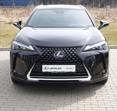 Lexus UX 250h 3