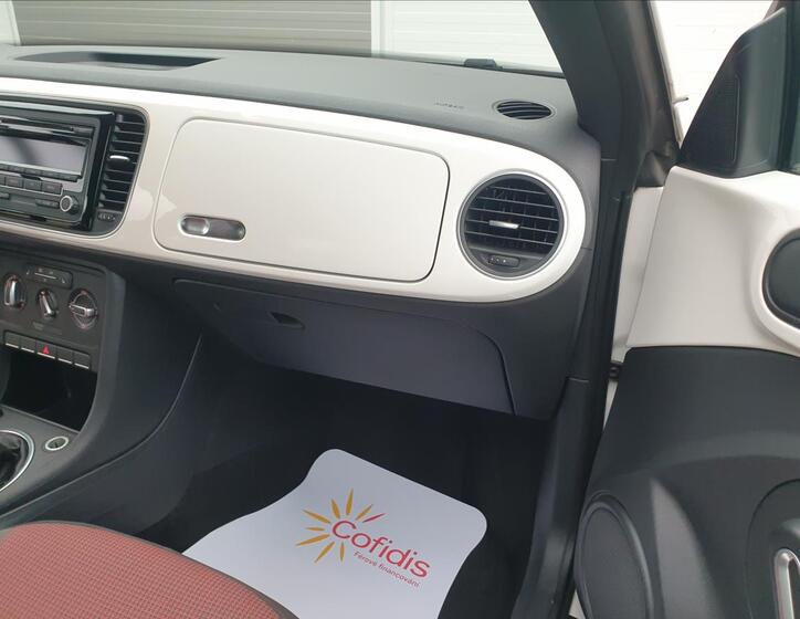 Volkswagen Beetle 19