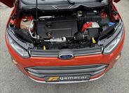 Ford EcoSport 23