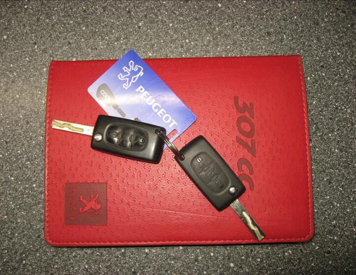 Peugeot 307 45