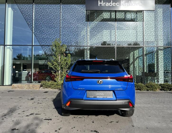 Lexus UX 250h 6