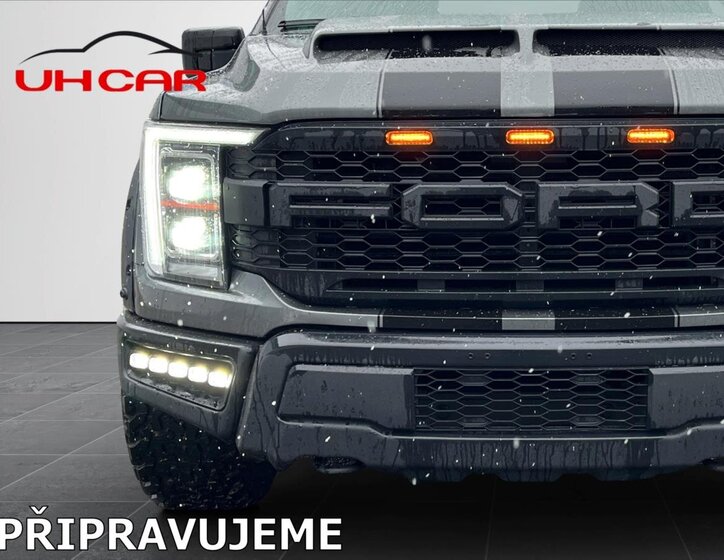 Ford F-150 Pick-up 5,0 l 298 kw