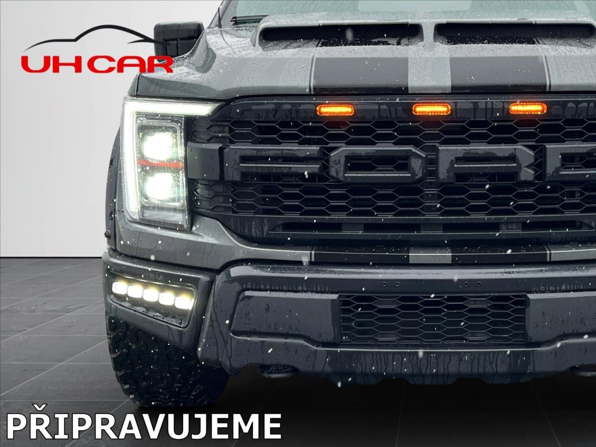 Ford F-150 Pick-up 5,0 l 298 kw