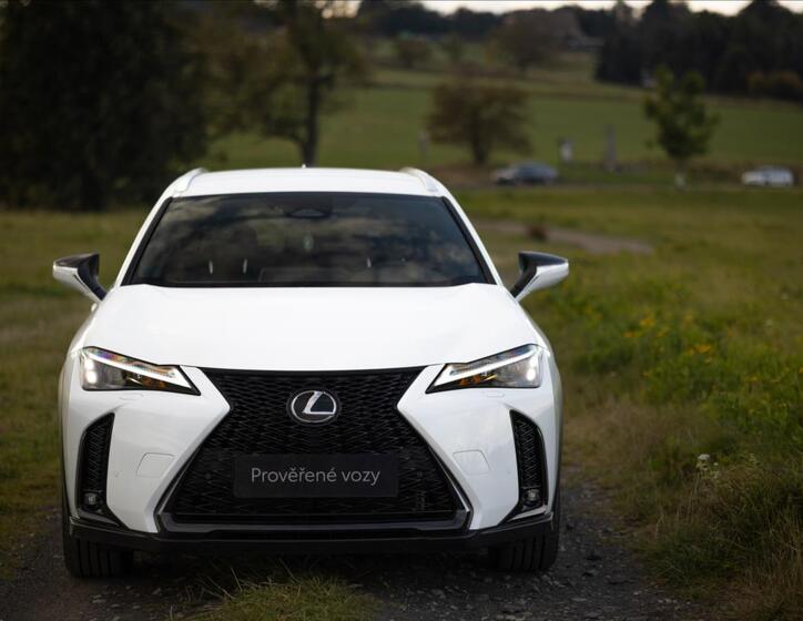 Lexus UX 300h 3
