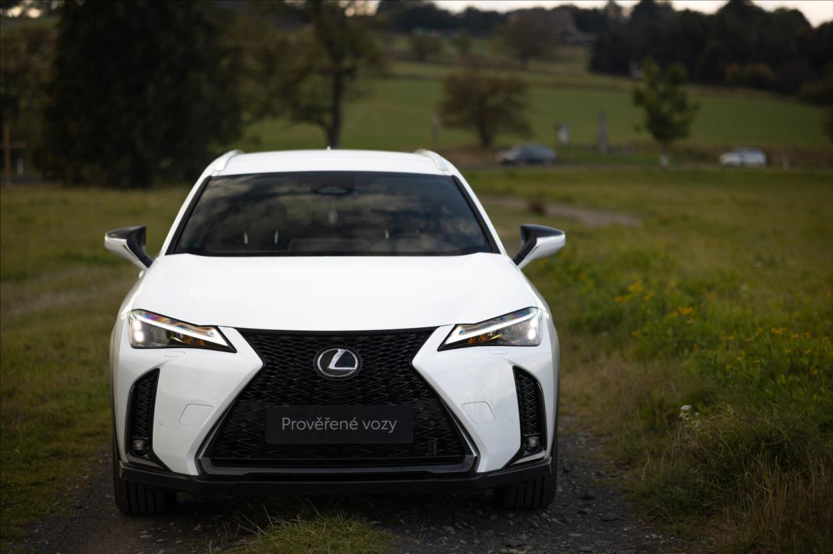 Lexus UX 300h