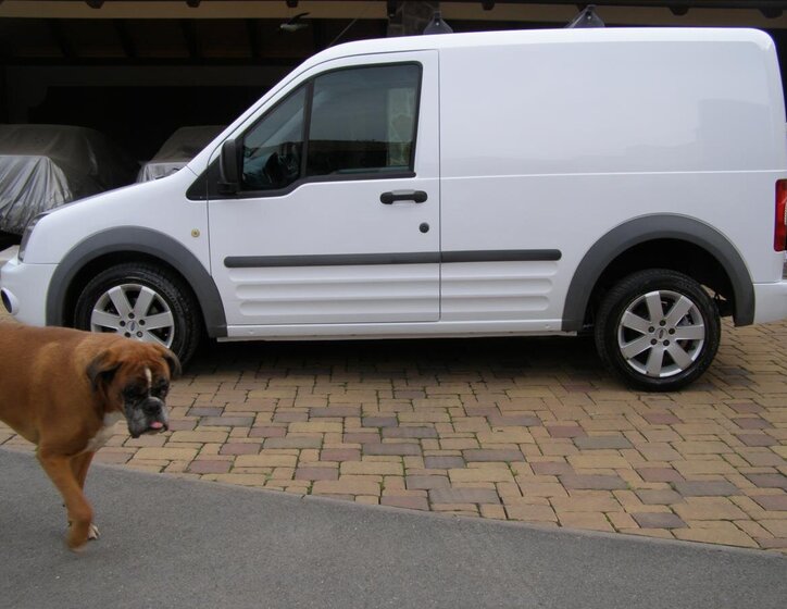 Ford Transit Connect Ostatní 1,8 l 66 kw