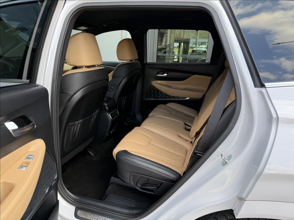 Hyundai Santa Fe SUV / Terénní 2,2 l 142 kw