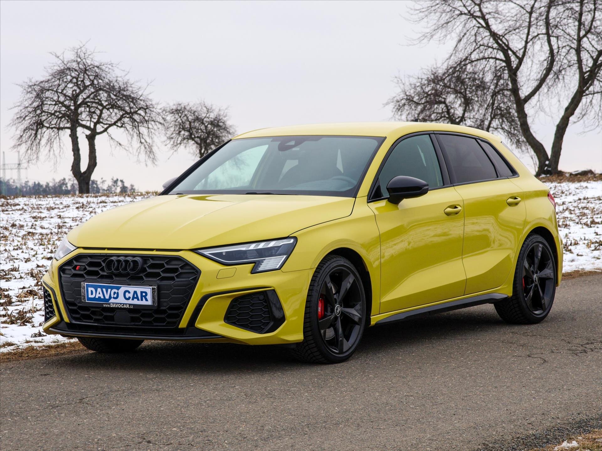 Audi S3 Hatchback 2,0 l 228 kw