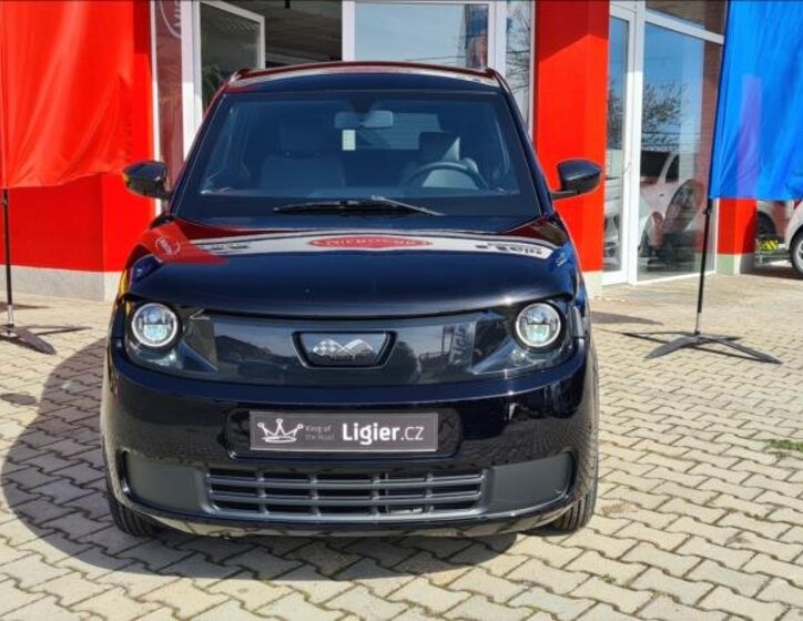 Ligier Ostatní Hatchback 499,0 6 kw