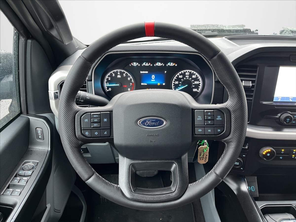 Ford F-150 Pick-up 5,0 l 298 kw