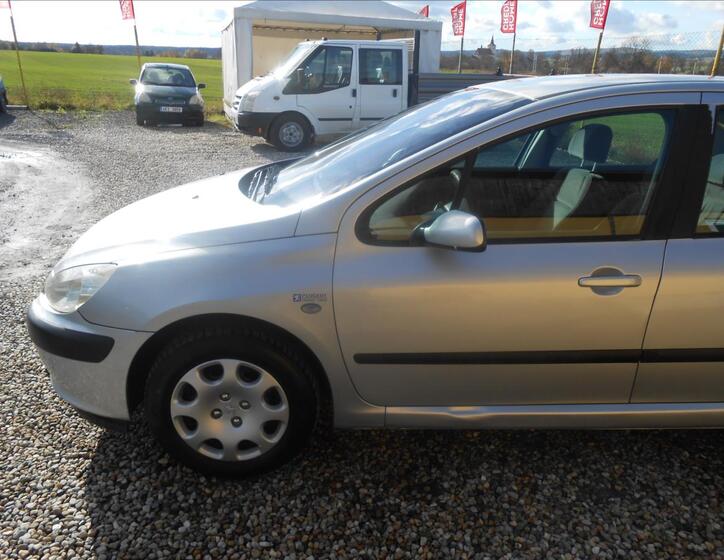 Peugeot 307 10