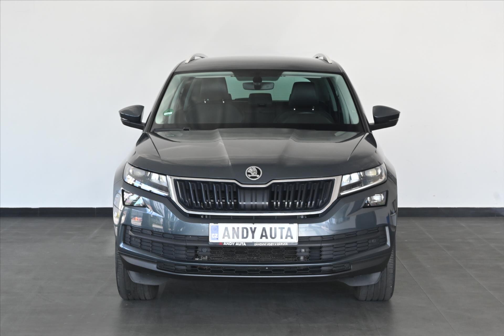 Škoda Kodiaq SUV / Terénní 1,5 l 110 kw