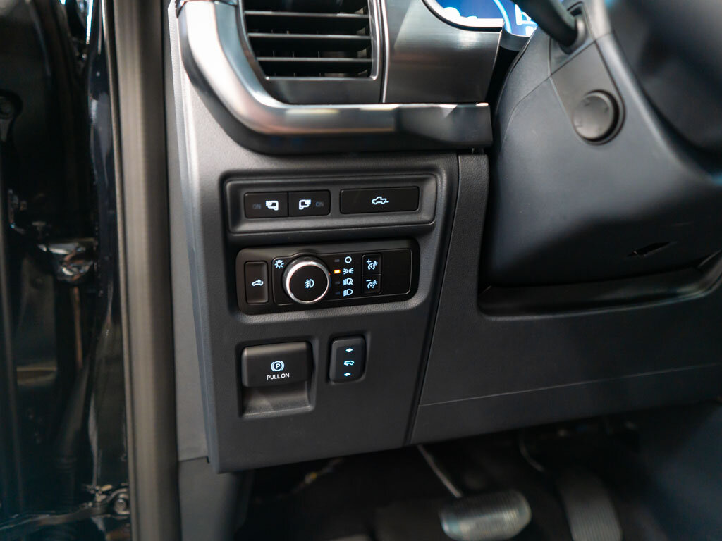 Ford F-150 Pick-up 5,0 l 298 kw