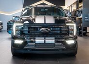 Ford F-150 11