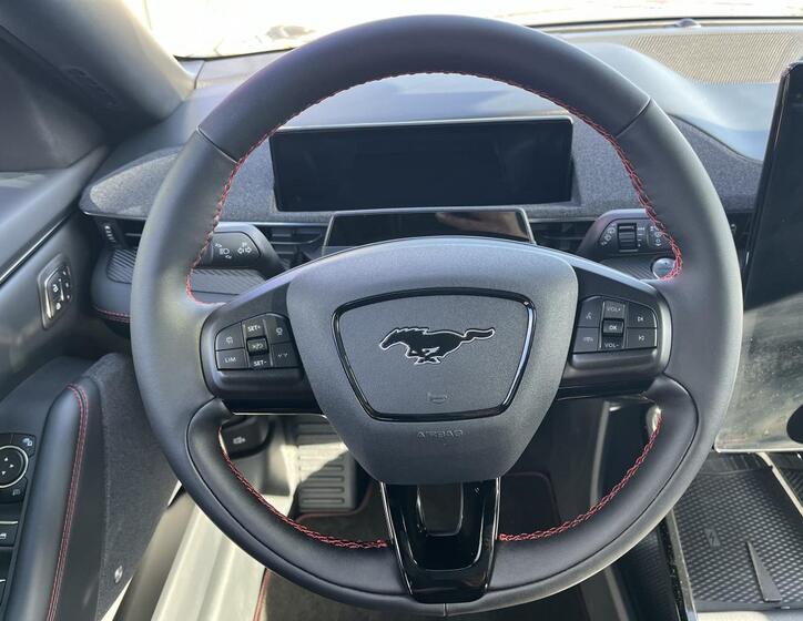 Ford Mustang Mach-E 10