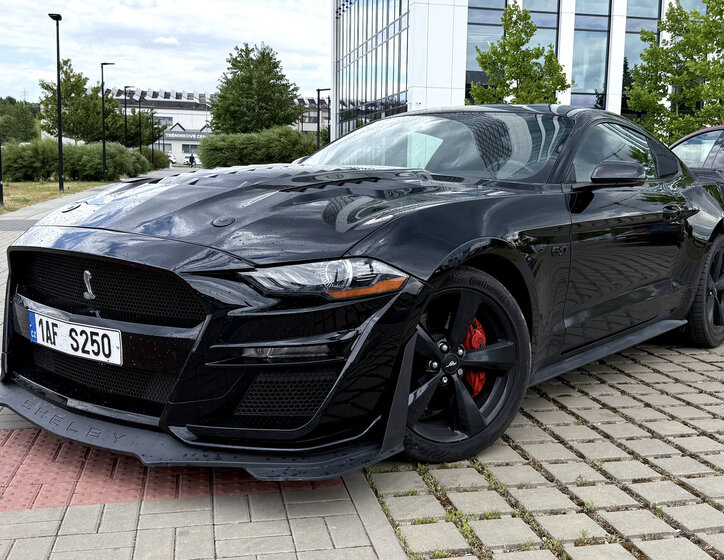 Ford Mustang Kupé 5,0 l 310 kw