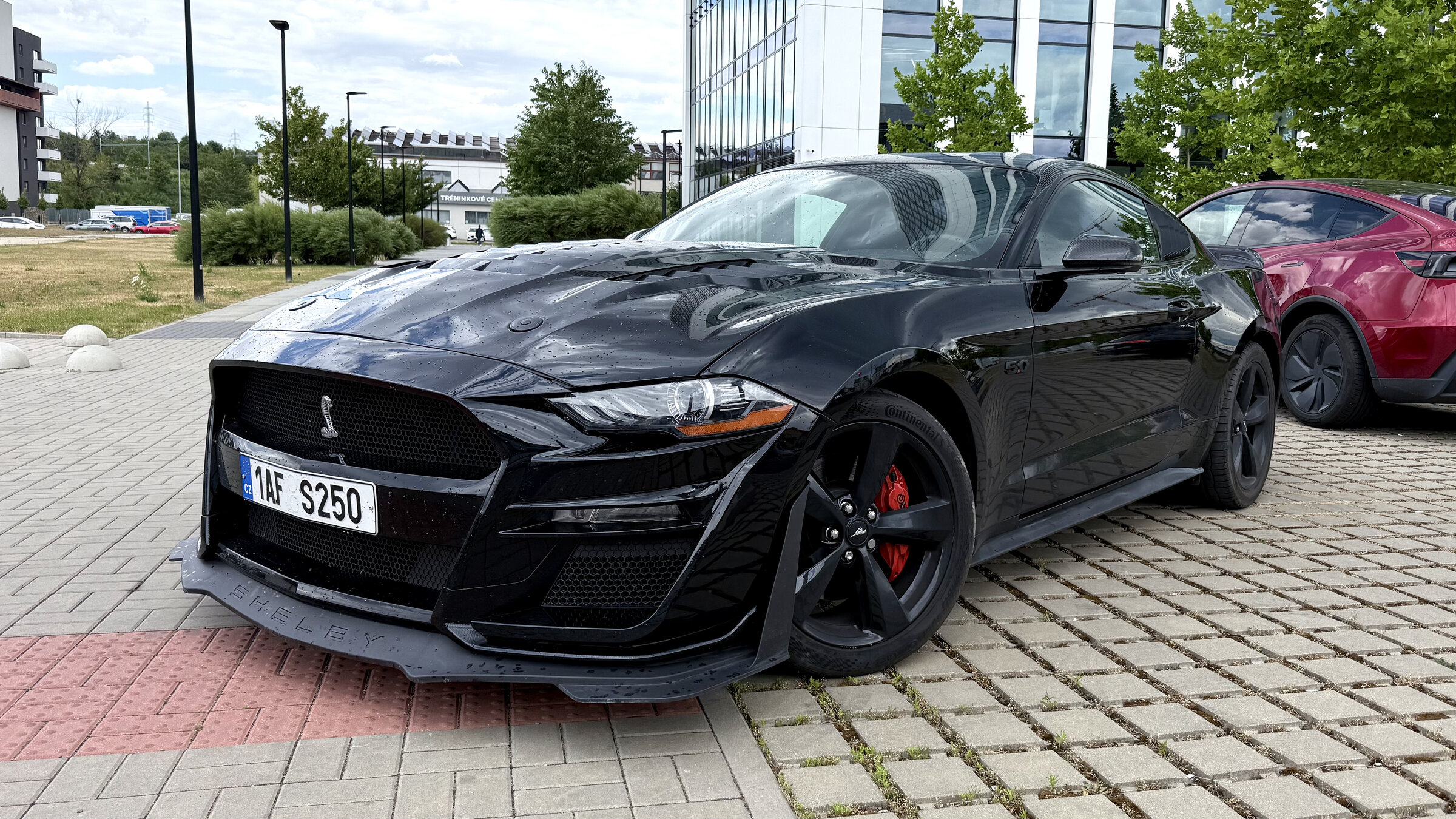 Ford Mustang Kupé 5,0 l 310 kw