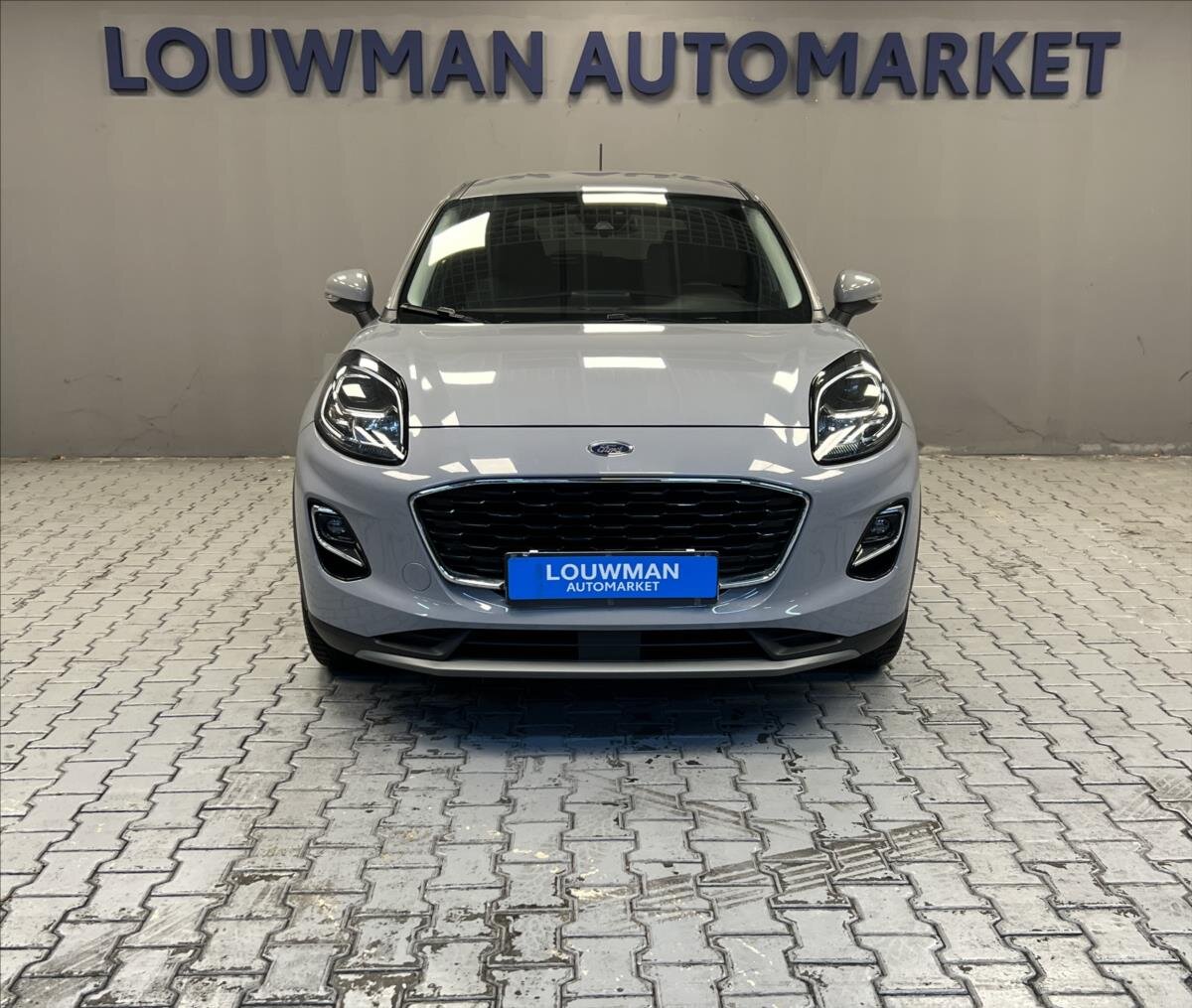 Ford Puma CUV 999,0 91 kw