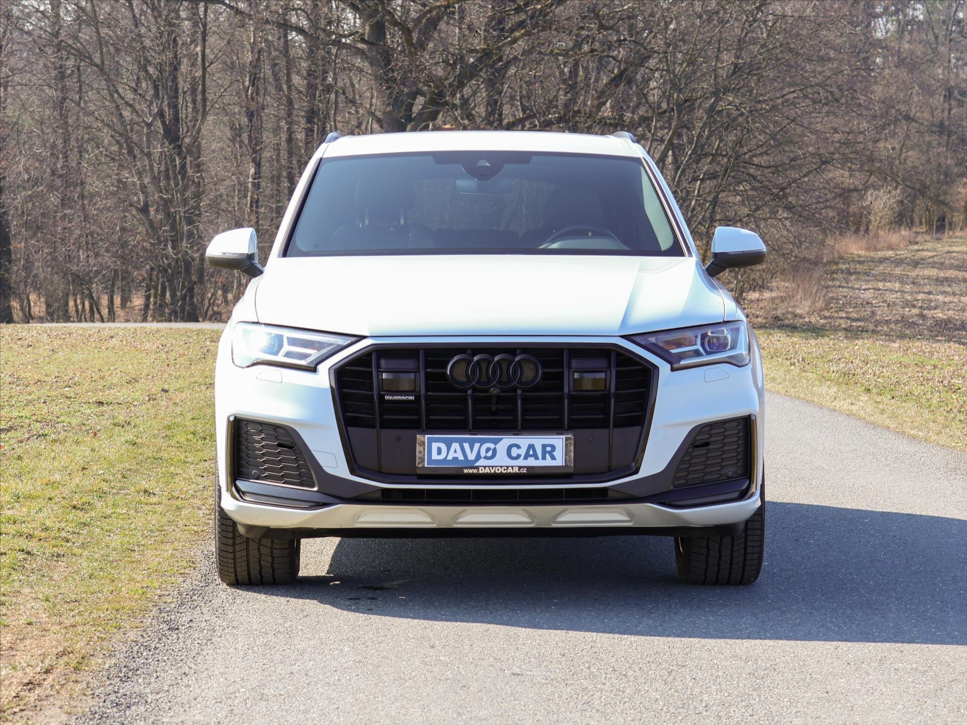 Audi Q7 SUV / Terénní 3,0 l 210 kw