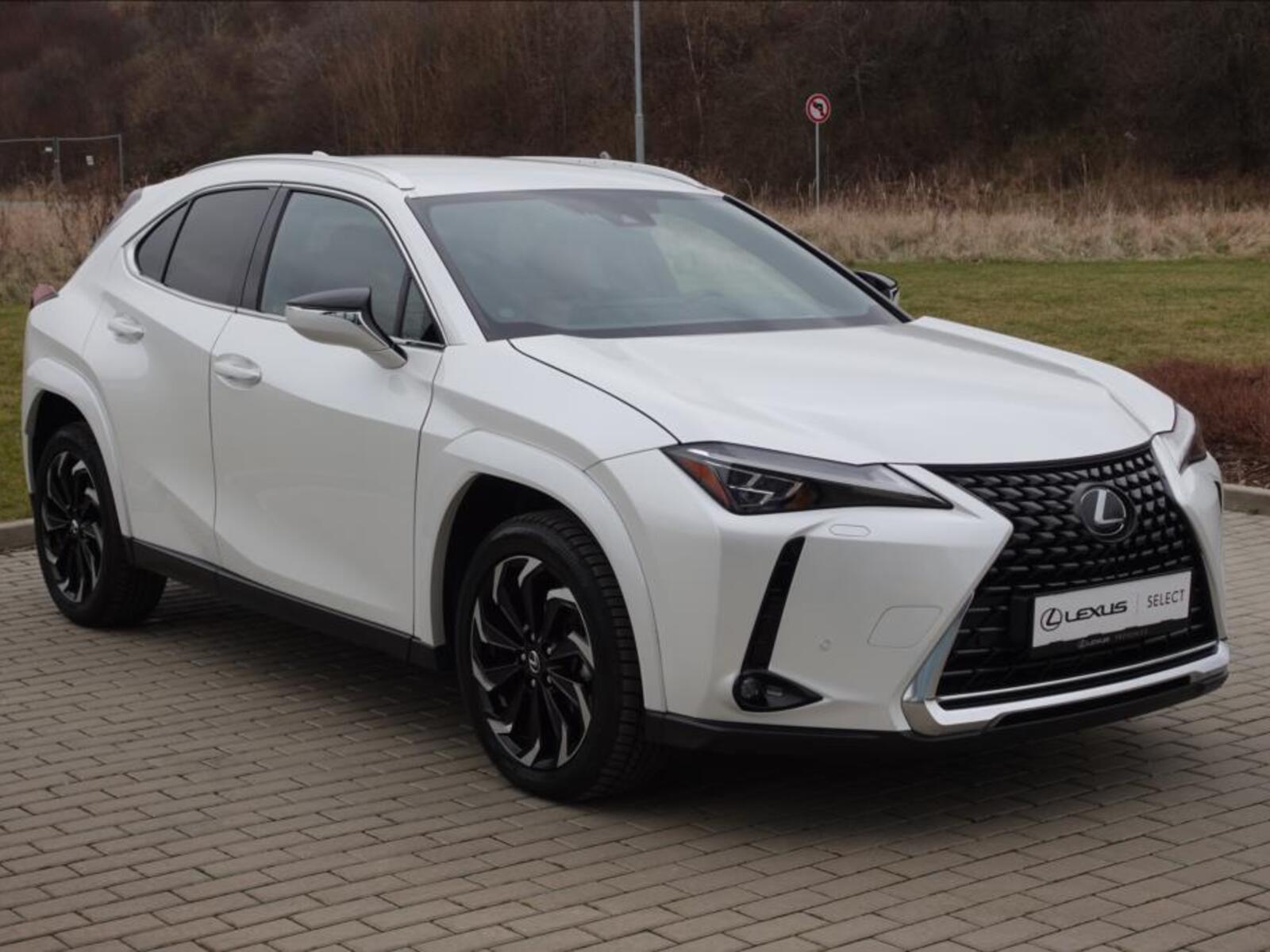 Lexus UX 250h 4