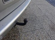 Volkswagen Multivan 18