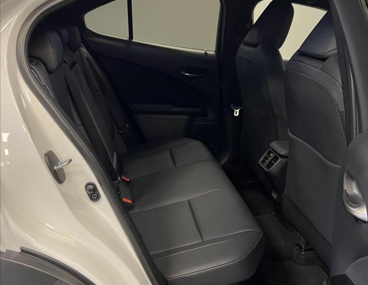 Lexus UX 300h 10