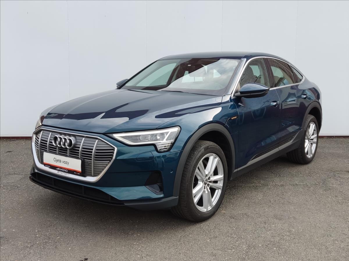 Audi e-tron SUV / Terénní 0,0 300 kw