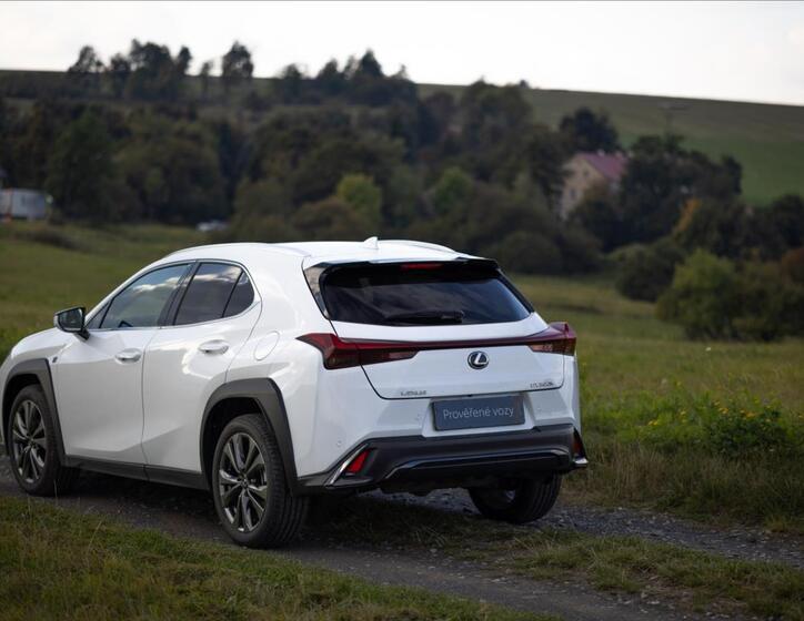 Lexus UX 300h 13