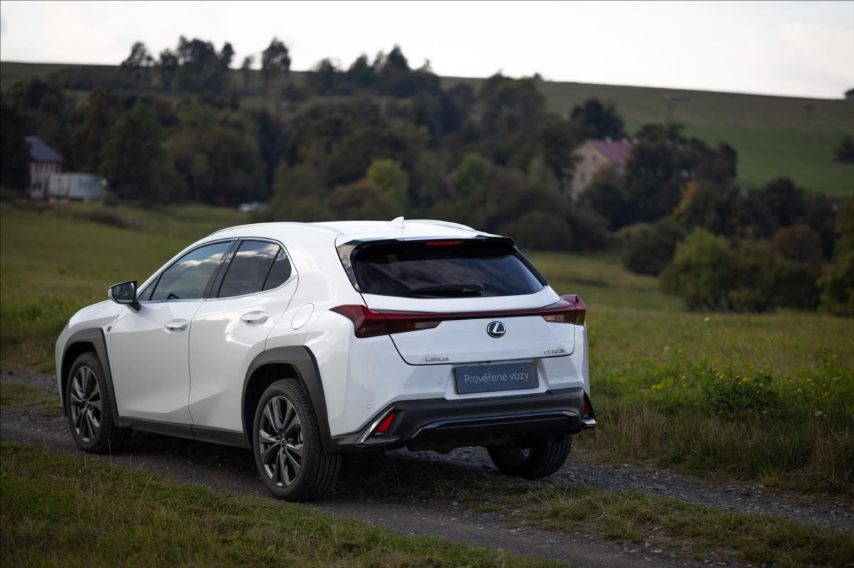 Lexus UX 300h