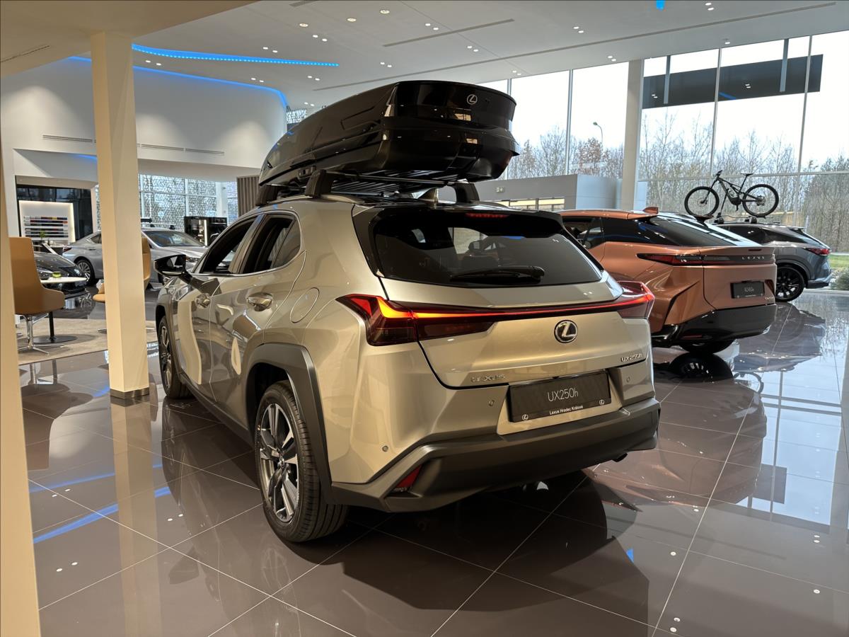 Lexus UX 250h