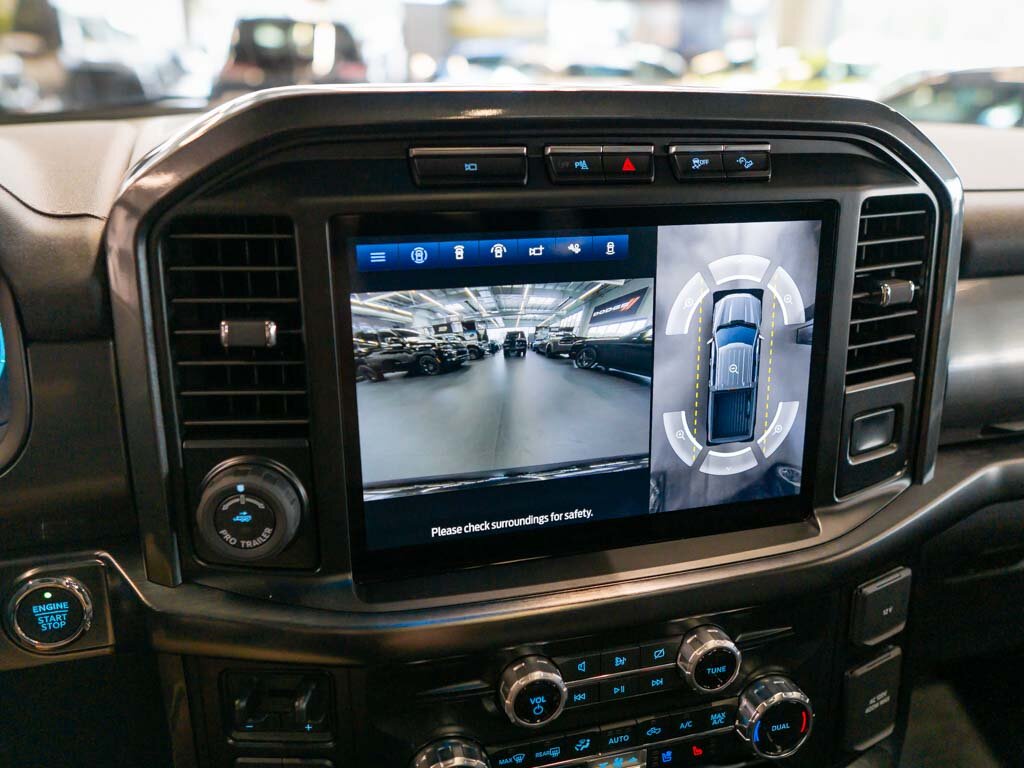 Ford F-150 Pick-up 5,0 l 298 kw