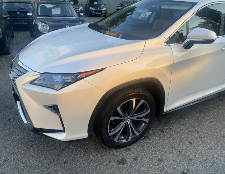 Lexus RX 19