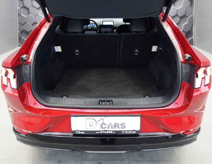 Ford Mustang Mach-E SUV 0,0 198 kw