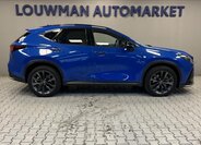 Lexus NX 450h plus 14