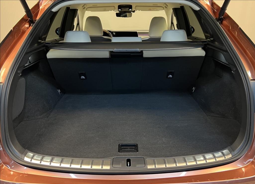 Lexus RX 450h plus SUV 2,5 l 227 kw