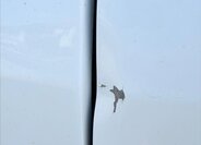 Iveco Daily Ostatní 2,3 l 115 kw