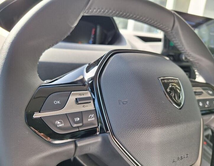 Peugeot Rifter MPV 1,5 l 96 kw