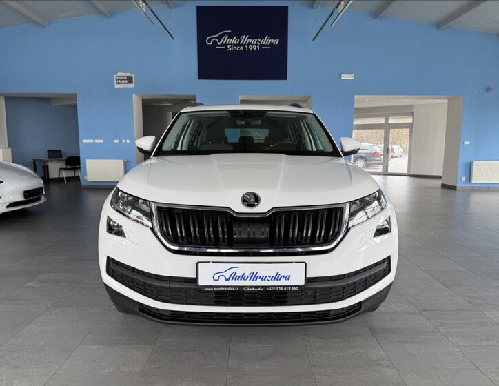 Škoda Kodiaq Kombi 2,0 l 110 kw