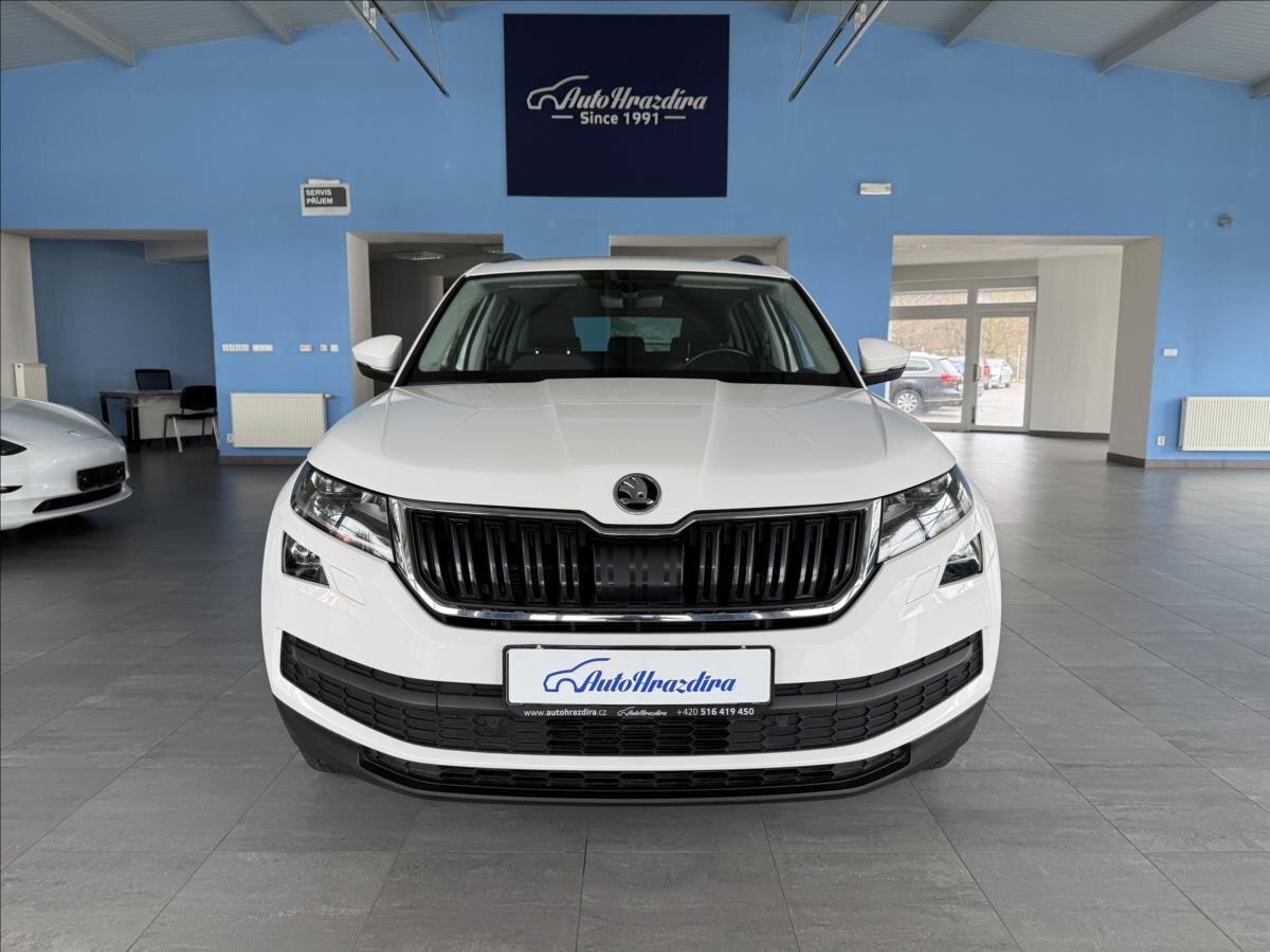 Škoda Kodiaq Kombi 2,0 l 110 kw